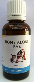 HOME ALONE PAZ