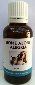 HOME ALONE ALEGRÍA