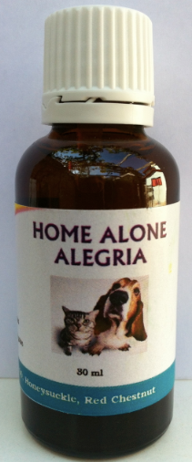 HOME ALONE ALEGRÍA