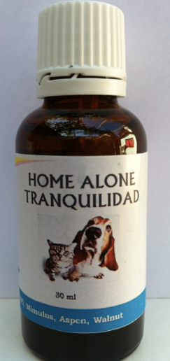 HOME ALONE TRANQUILIDAD