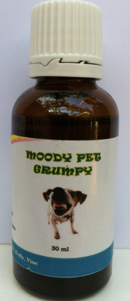MOODY PET GRUMPY