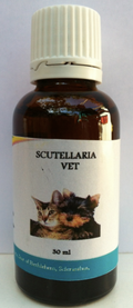 SCUTELLARIAVET