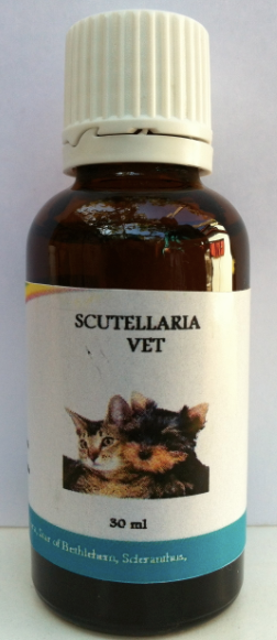SCUTELLARIAVET